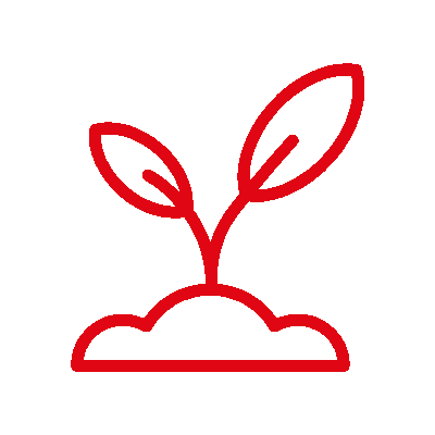 wired-outline-1827-growing-plant-hover-pinch.gif