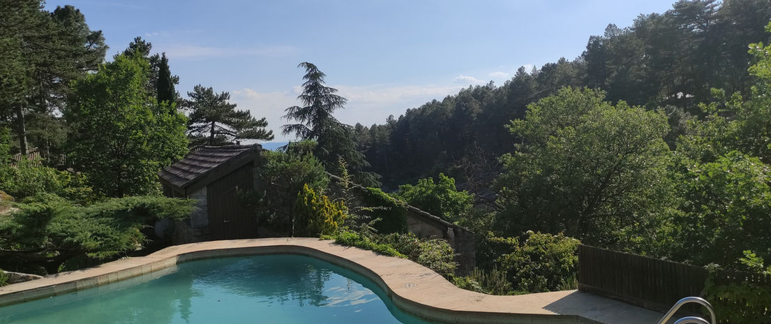 Piscine entourée de verdure et d'arbres en forêt