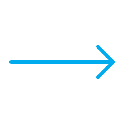 wired-outline-225-arrow-small-right-hover-pointing.gif