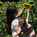 Femme et bébé touchant un tournesol
