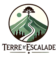logo fond transparent_edited.png