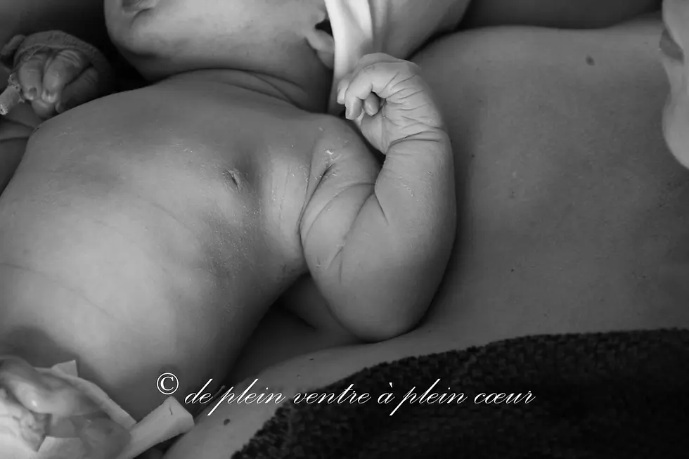 La photographie de naissance : Capturer l’Inoubliable