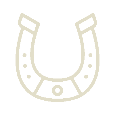wired-outline-1456-horseshoe-hover-pinch.gif