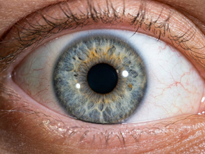 Iris bleu, photographie en gros plan prise pour une analyse iridologie