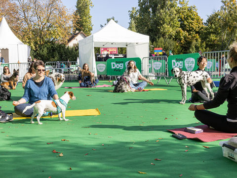 Un parc canin éphémère de 2 000 m² imaginé pour offrir une expérience unique à plus de 800 chiens et leurs accompagnants au cœur du Parc Floral de Paris.