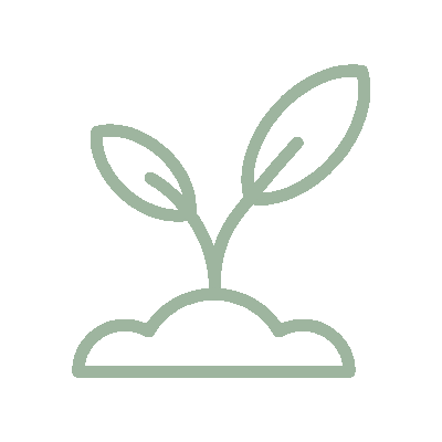 wired-outline-1827-growing-plant-hover-pinch.gif
