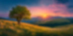 Arbre solitaire sur colline herbeuse, coucher de soleil vibrant montagnes.