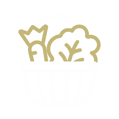 basket icon