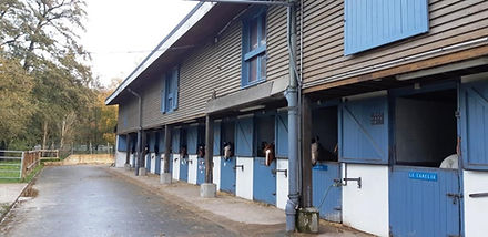 Box chevaux
