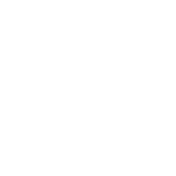 wired-outline-3152-puzzle-square-hover-detach.gif