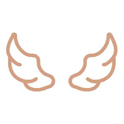 wired-outline-1145-wings-hover-pinch.gif