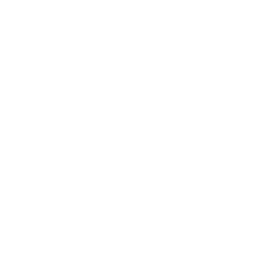 wired-outline-731-blueprint-hover-pinch.gif