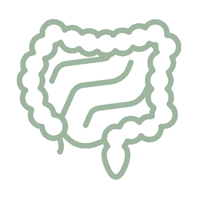 wired-outline-1234-digestion-hover-pinch.gif