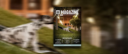 MAGAZINE AMENAGEMENT CANIN_edited.jpg