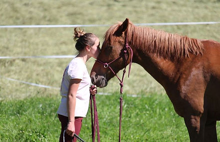 Ethologie enfant et poney