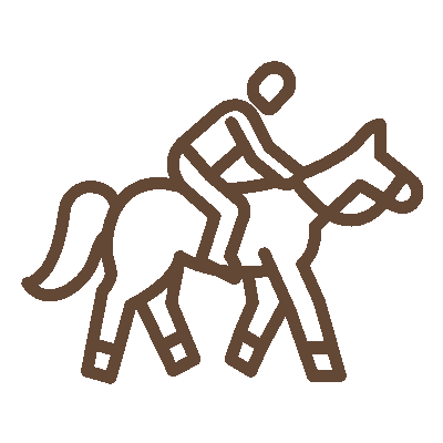 wired-outline-1790-horseback-riding-hover-pinch.gif