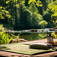 Aire de pique-nique au bord d'une rivière en forêt.