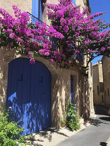 Facade of an holiday cottage in france with pool, covered with pink flowers