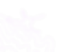 assets_video_edited.png