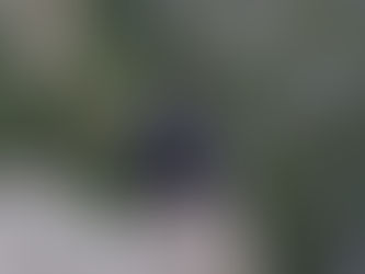 Le mot du Sophrologue : Accueillir ce qui vit en soi