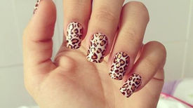 Nail Art Oncinha
