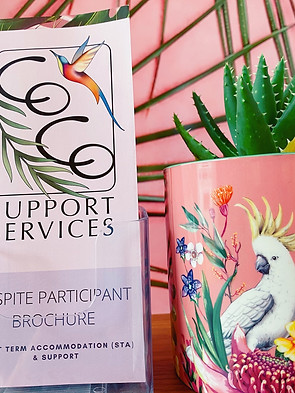the coco flyer with a pink background, and cactus plant in a pink potplant that has a picture of beautiful wildflowers and an australian cockatoo