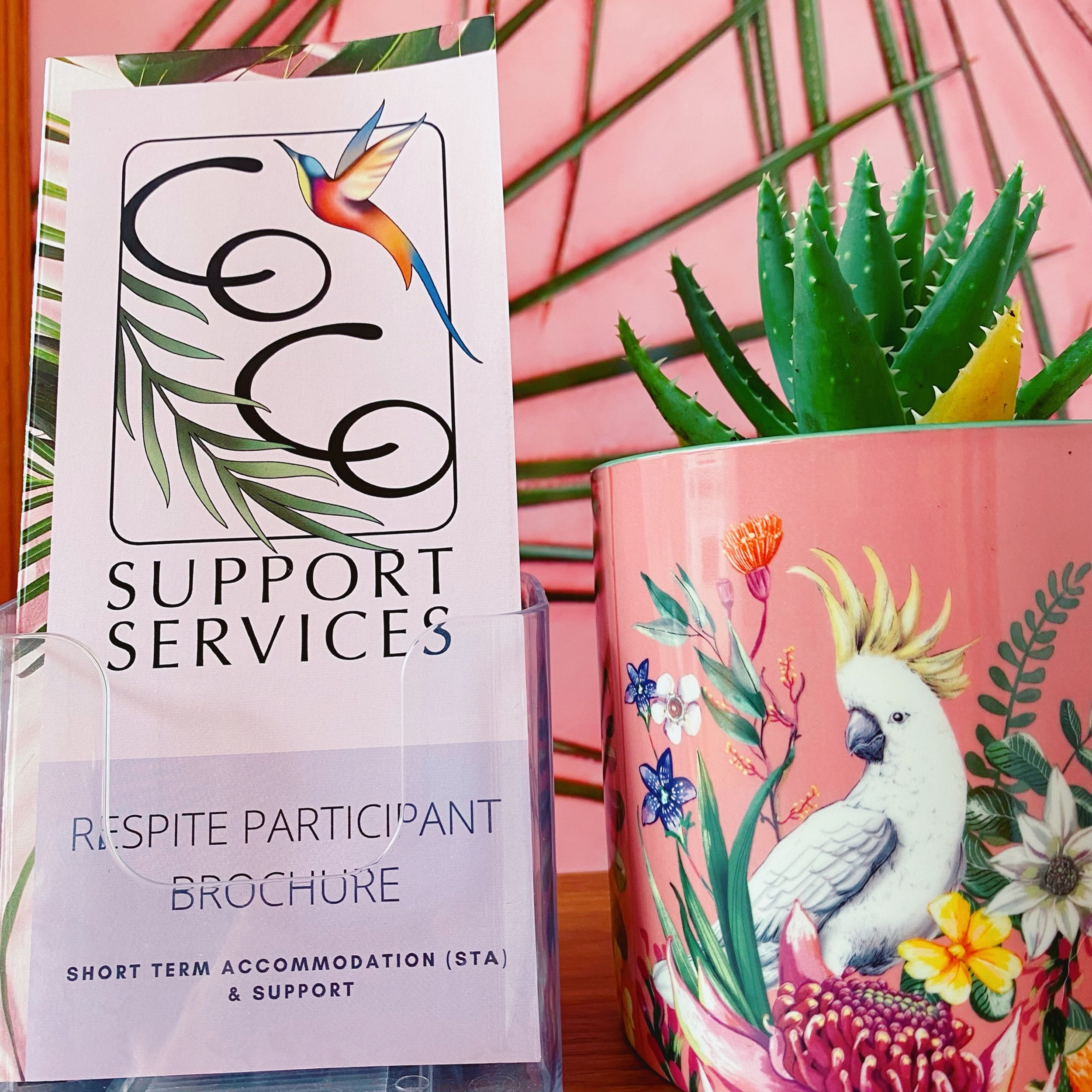 Disability Support Worker Jobs Geelong disability-support-worker-jobs-geelong