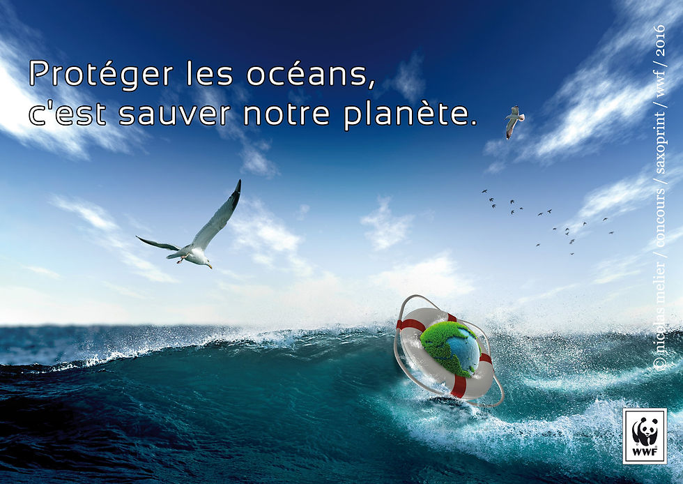_bataffiche CONCOURS WWF _ MELIER NICOLAS V1