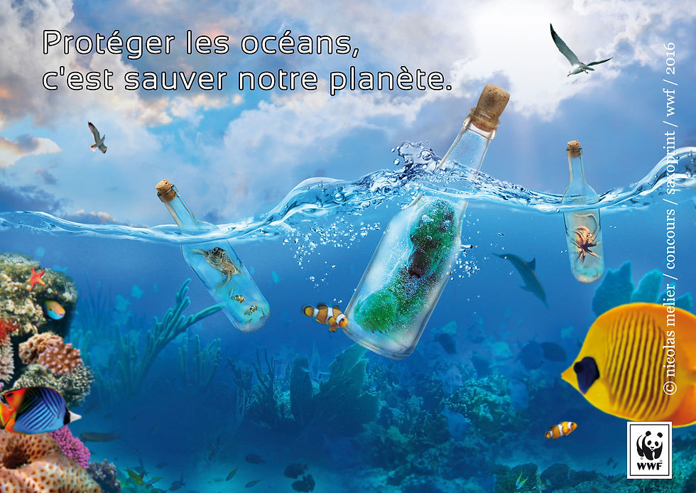 _CONCOURSbat WWF_MELIER NICOLAS V3
