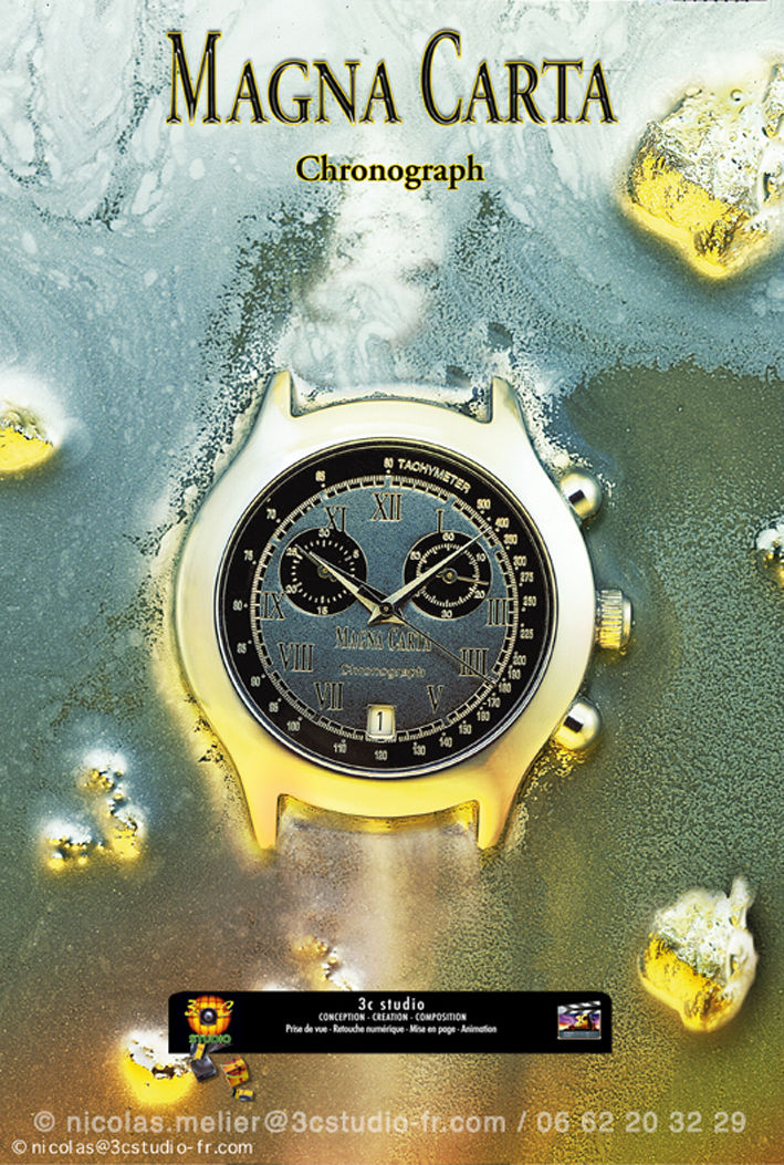 magna_cartamontre©3c.jpg