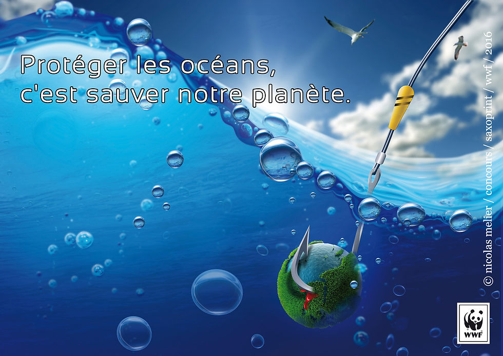 _batCONCOURS WWF_MELIER NICOLAS V2
