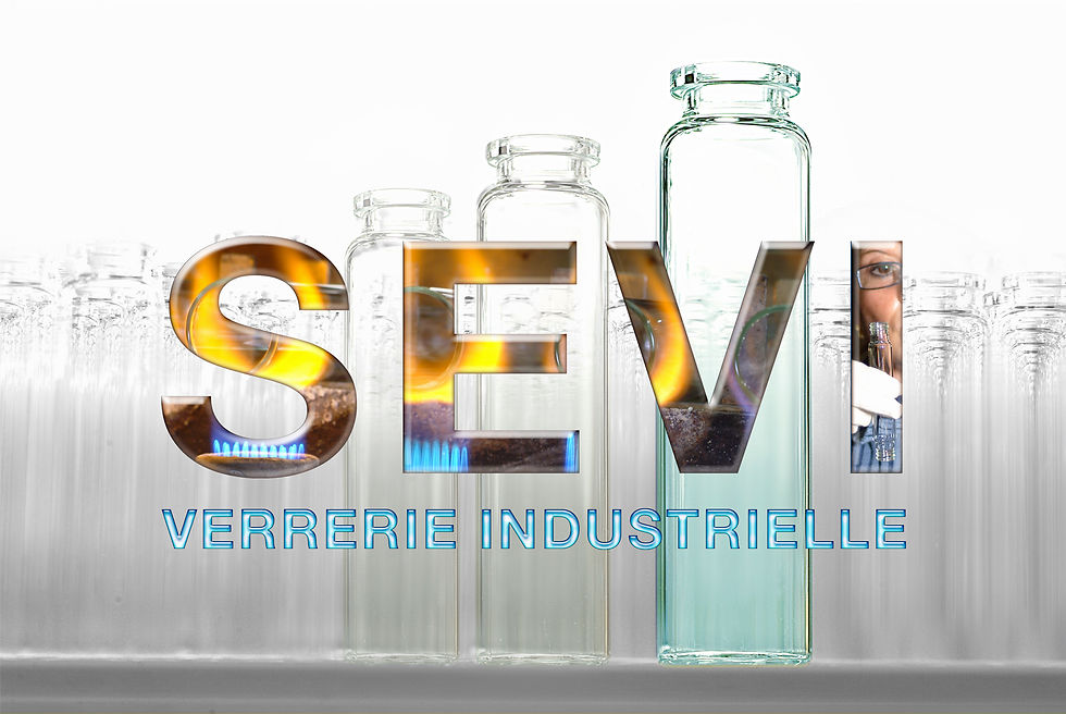 couverture sevi.jpg