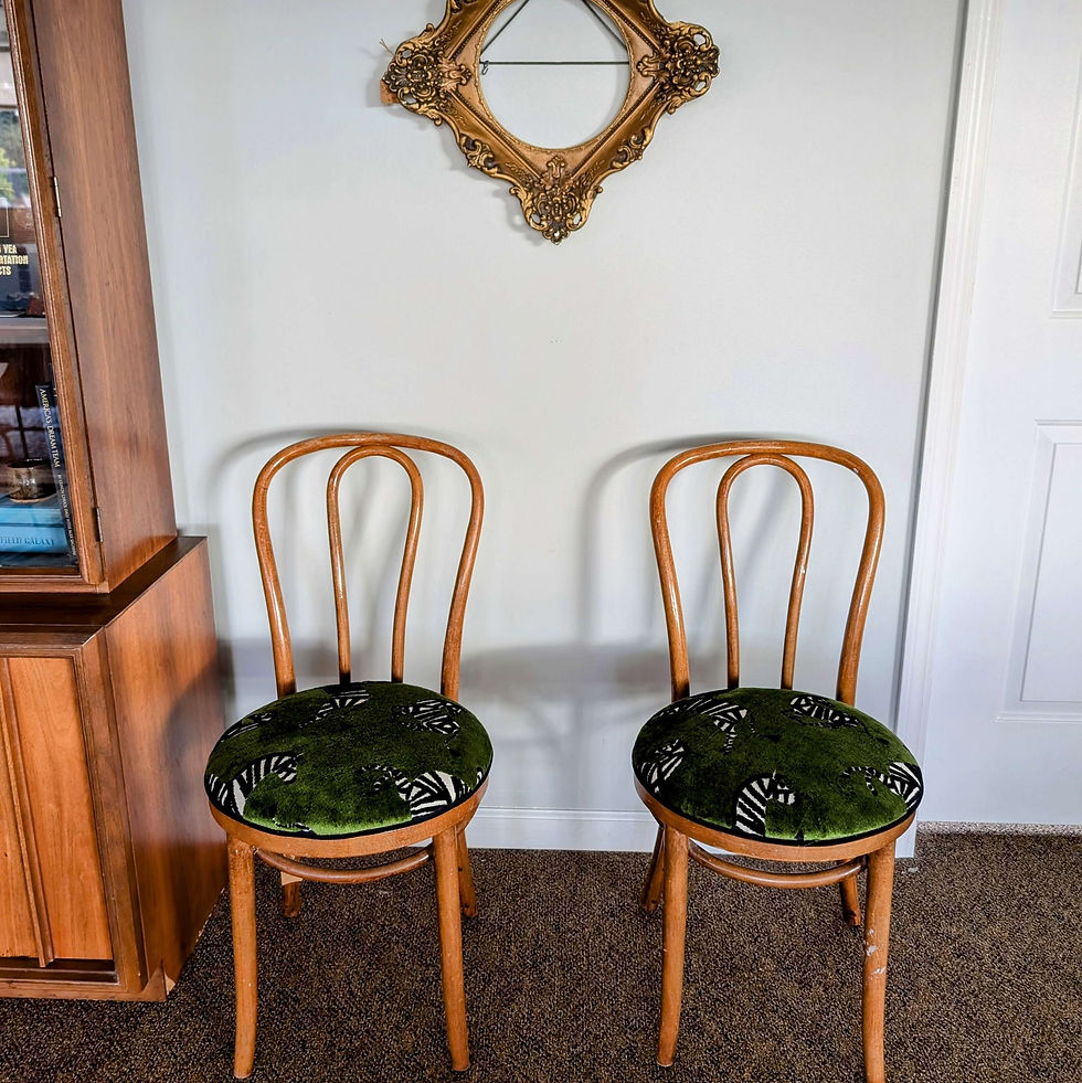 Thumbnail: Zebra vintage bentwood bistro chairs, set of 4