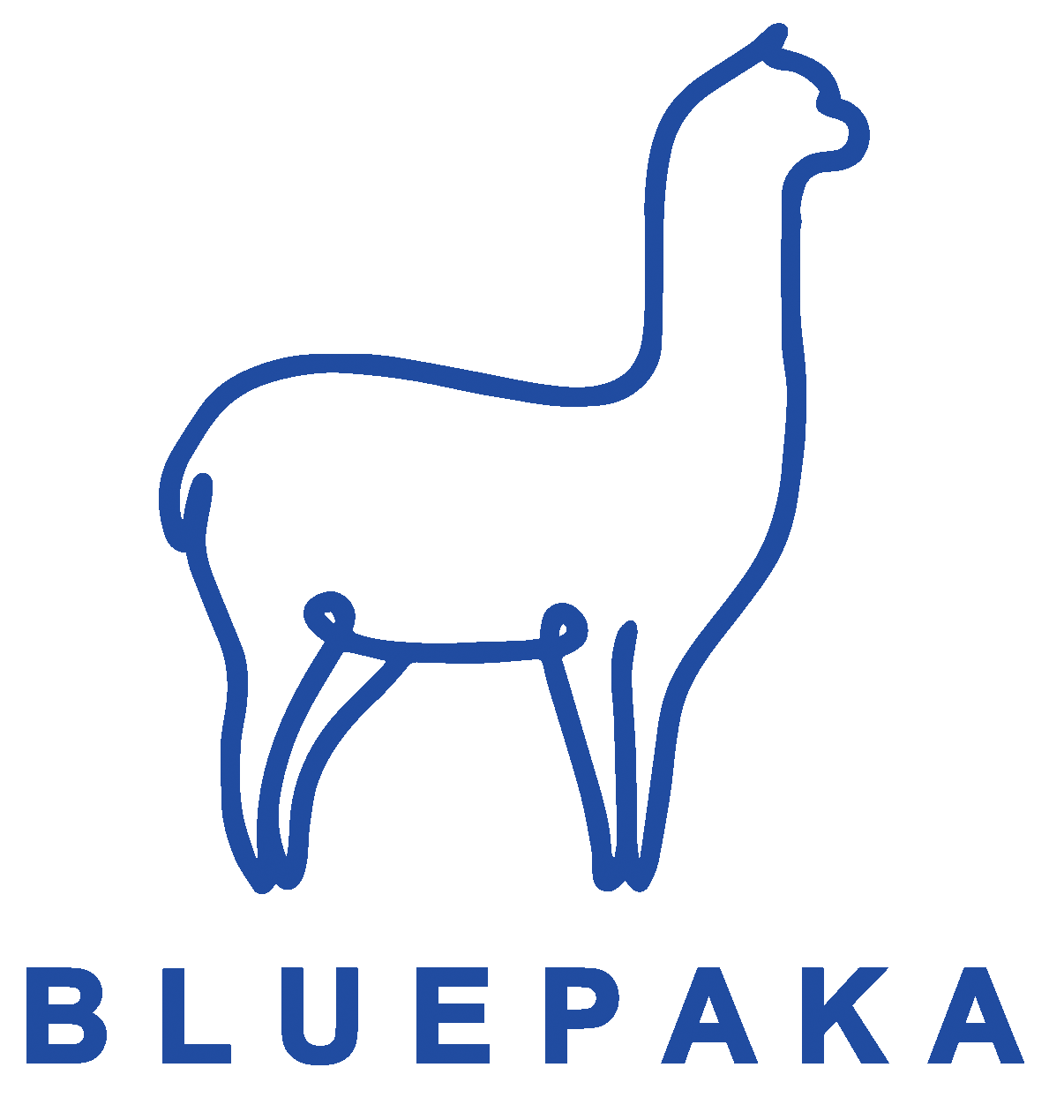 Bluepaka - Wir gestalten deine Zukunft