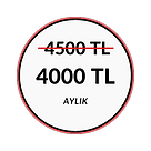 Title (7)_edited.png