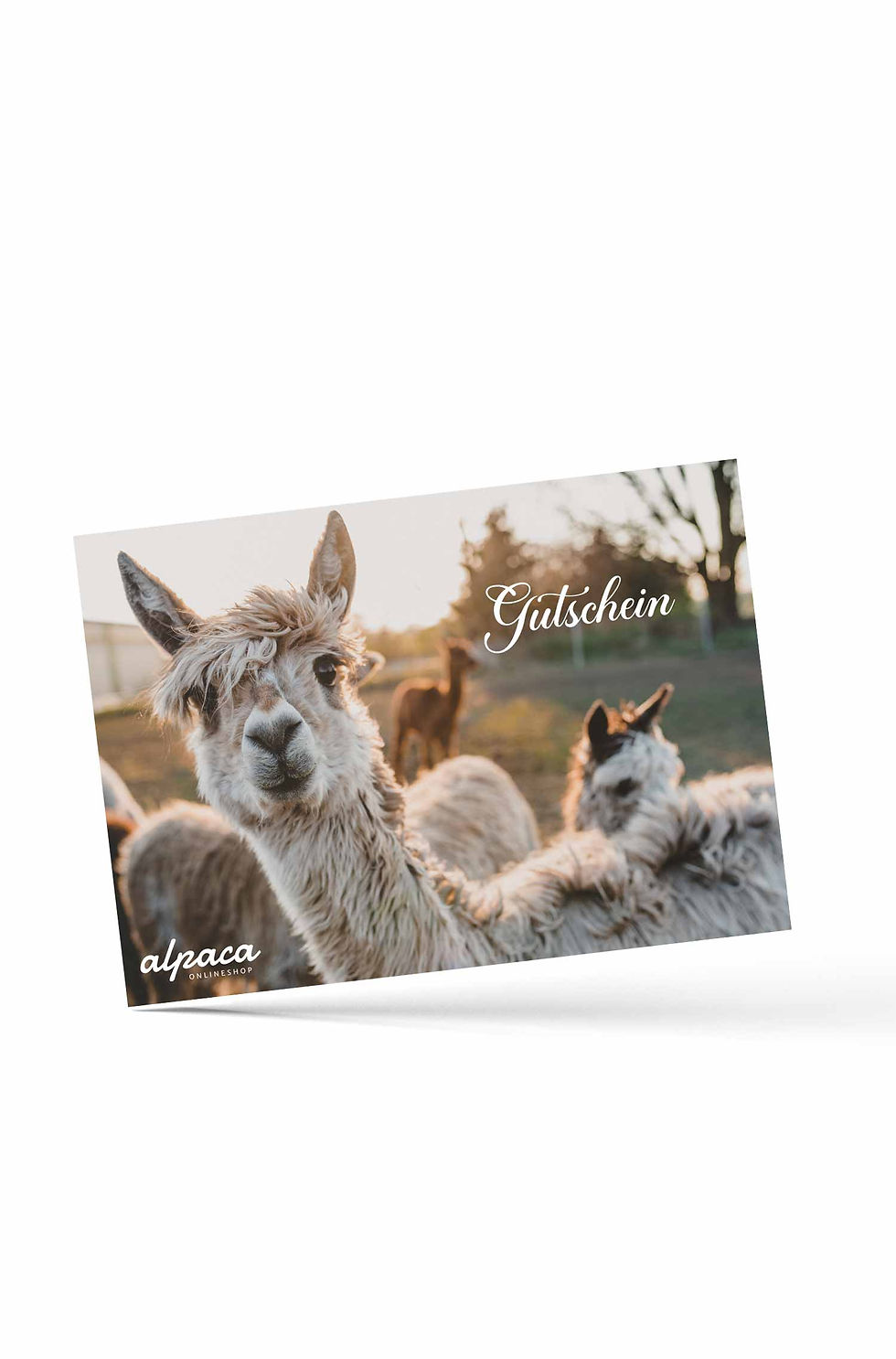 Geschenkgutschein 25.- – foto