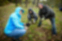three people planting plants