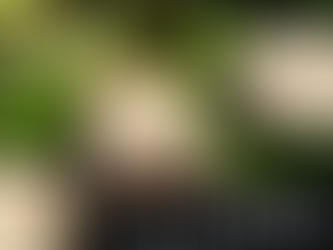 Bone Health & Nutrition Ultimate Guide