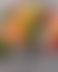 Mood-Supportive Nutrition Ultimate Guide