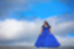 NH Event Planner Quinceañera Royal Blue Silver