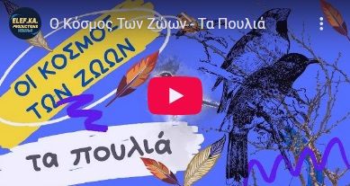 Βίντεο εκπαιδευτικό για τα πουλιά ελληνικά με υπότιτλους