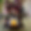Thumbnail: Small Christmas Tree