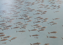 20190927_121029.jpg