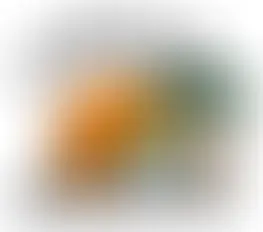 Caring Workplaces Employer Spotlight!