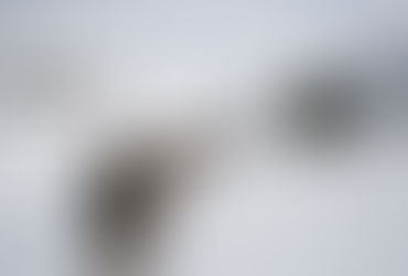 Sección de esquiadores escaladores.