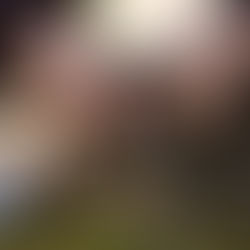 sección de supervivencia y orientación.