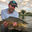 Writer: Chris Edgington