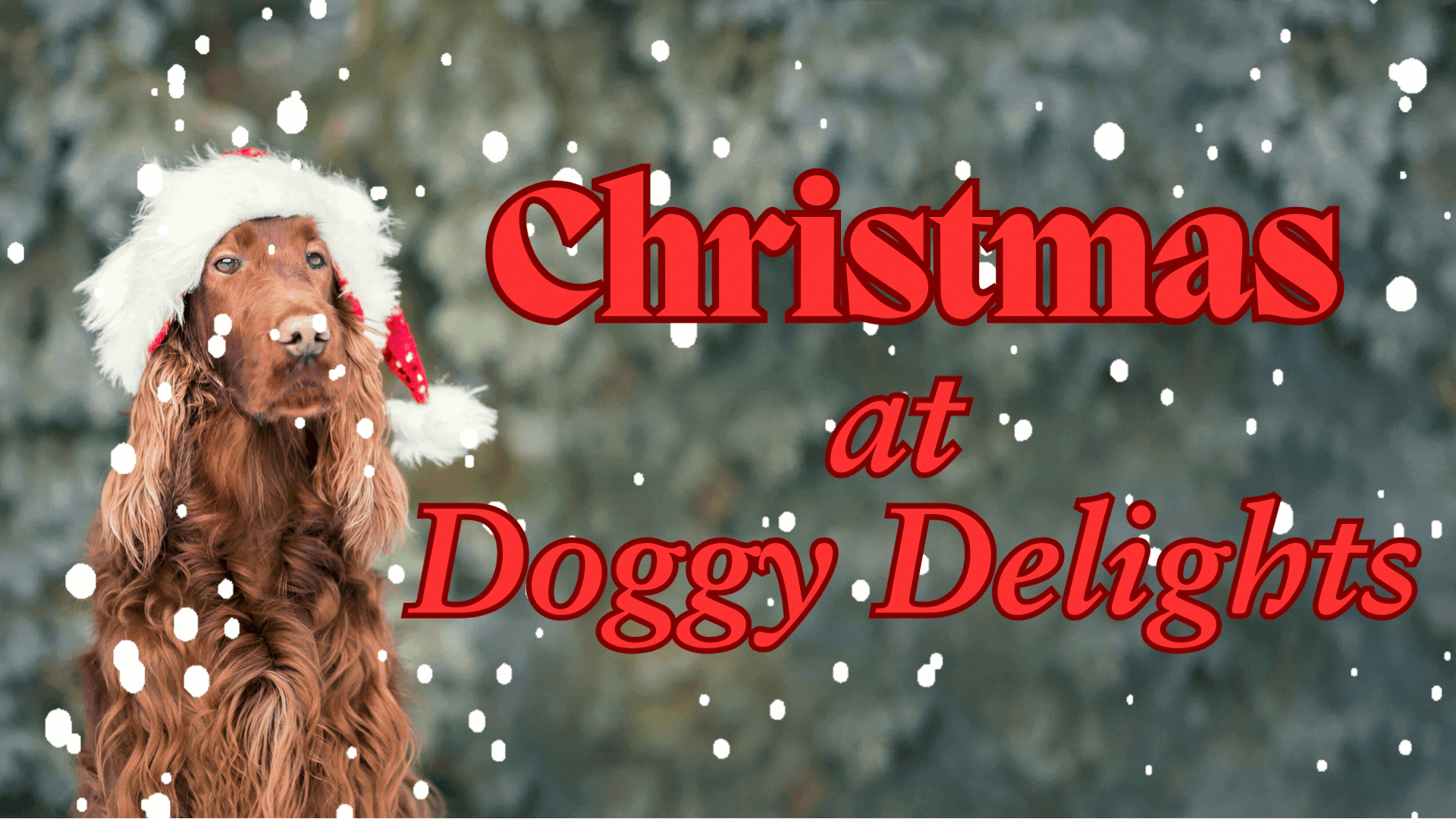 Christmas Cover Photo