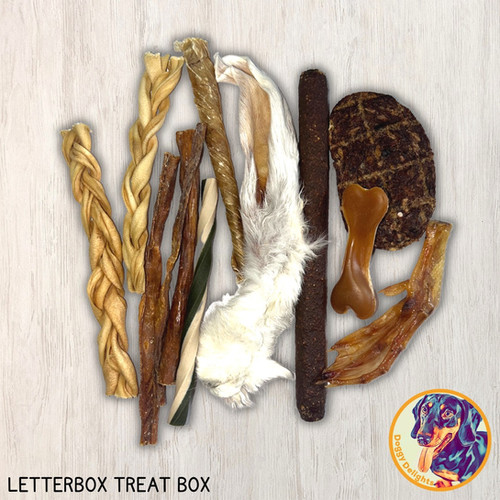 Letterbox Dog Treat Box Doggy Delights