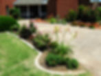 Yard of the Week-Week 4